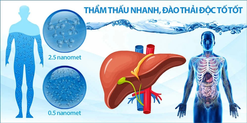 Tác dụng và cách sử dụng máy lọc nước ion kiềm hiệu quả